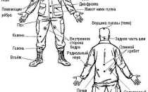 Болевые точки чтобы вывести человека из строя