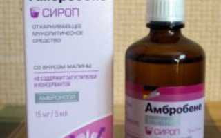 Эффективность сиропа Амбробене в лечении кашля