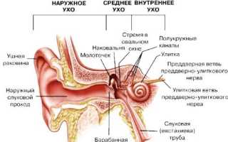 Закладывает уши и кружится голова: причины