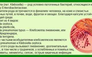 Клебсиелла при беременности